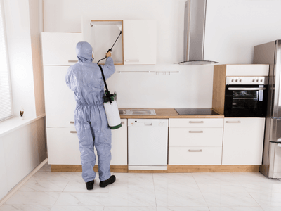 About Dearborn Heights Integrated Pest Management - integrated pest management experts in Dearborn Heights