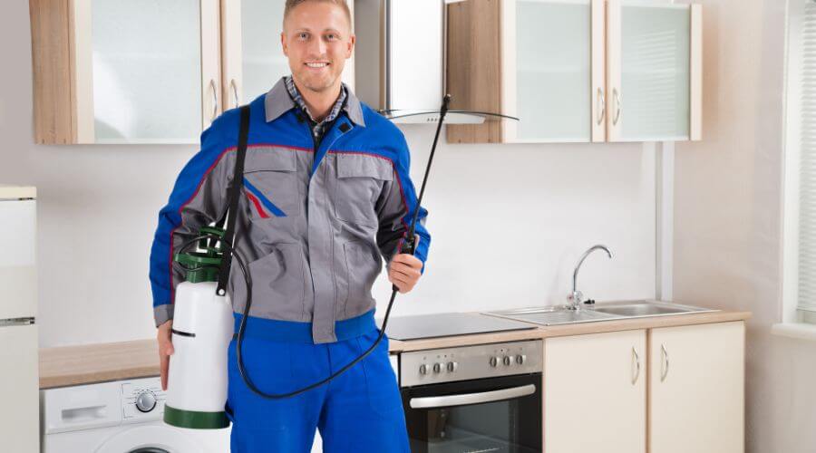 Professional integrated pest management services in Dearborn Heights - Dearborn Heights Integrated Pest Management